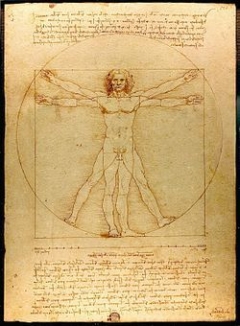 Леонардо. Виртуальный человек - канон пропорций